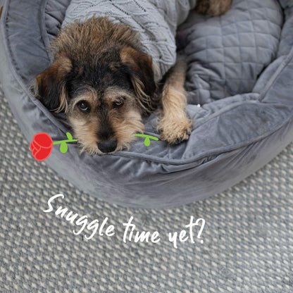 Grey Wave Dog Jumper