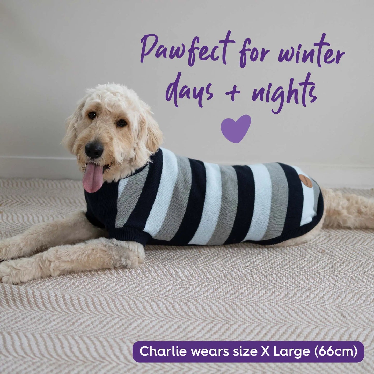 Chestie Dog Jumper - Blue