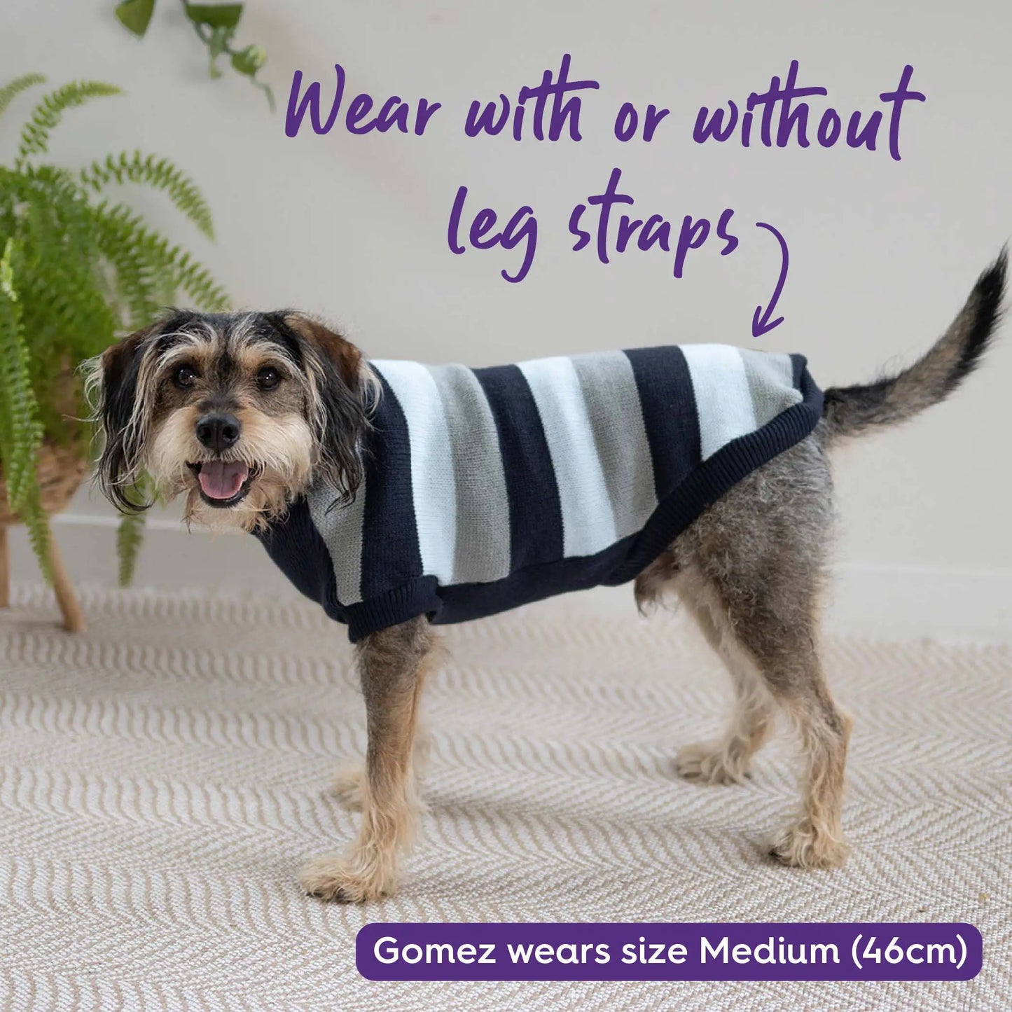 Chestie Dog Jumper - Blue