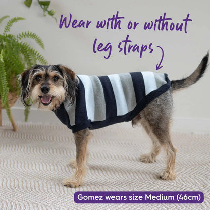 Chestie Dog Jumper - Blue