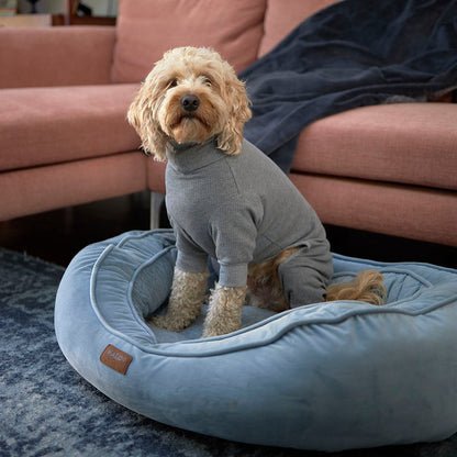 Long John Dog Pyjamas - Grey