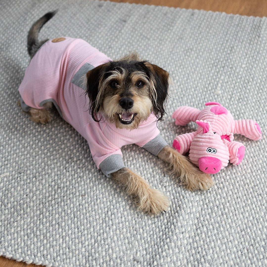Long John Dog Pyjamas - Pink