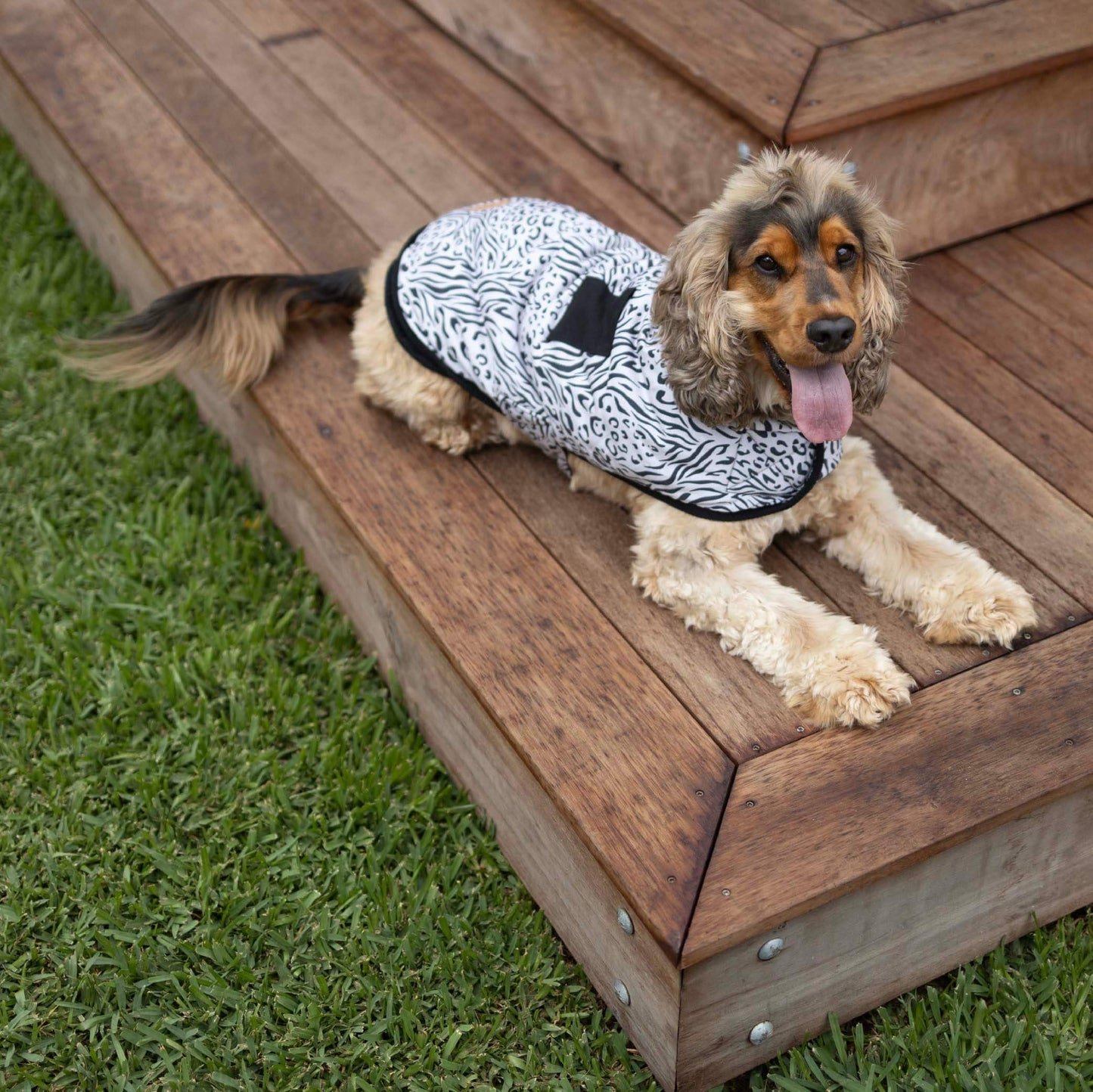 Wild Thing Soft Dog Jacket