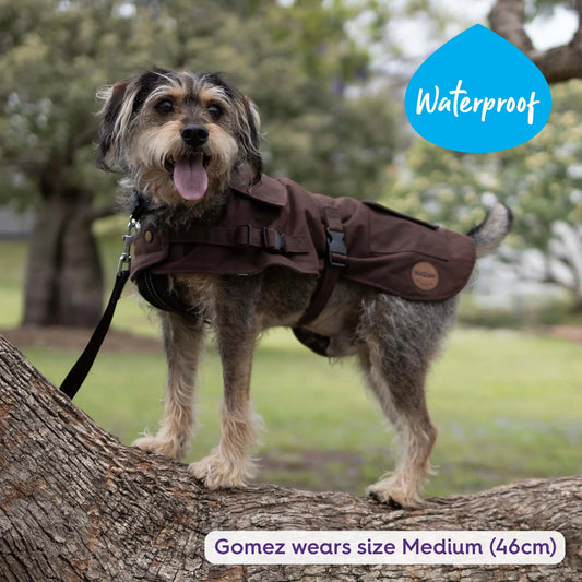 Aussie Oilskin Waterproof Dog Coat - Brown