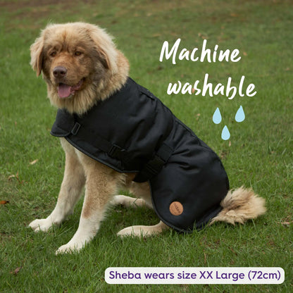 Adventure Dog Coat with Harness Hatch - Black