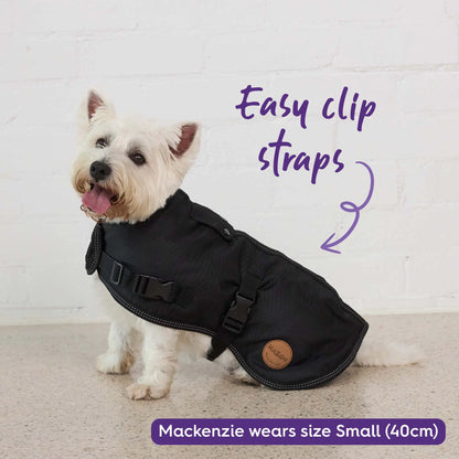 Adventure Dog Coat with Harness Hatch - Black