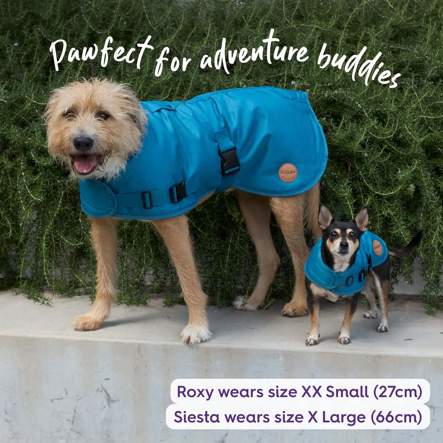 Adventure Dog Coat with Harness Hatch - Blue