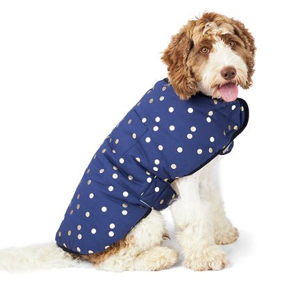 Confetti Snuggie Dog Jacket