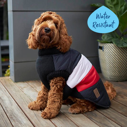 Vovo Dog Puffer Jacket - Pink Kiss