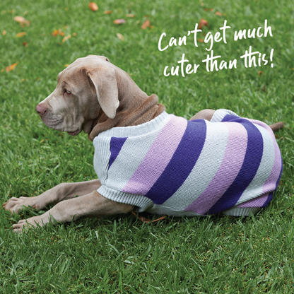 Bumble Dog Jumper - Lavender