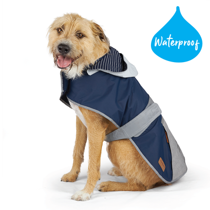 Cosy Dog Raincoat - Lagoon