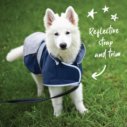 Cosy Dog Raincoat - Lagoon