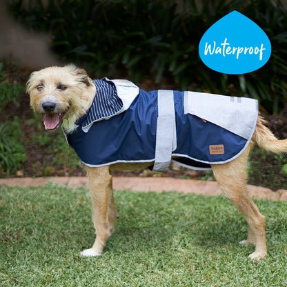Cosy Dog Raincoat - Lagoon
