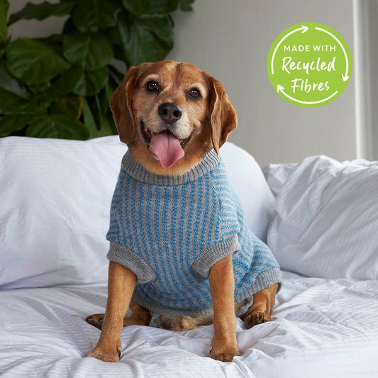 Blue Button Up Knit Dog Jumper